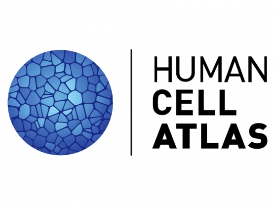 Tutorial 2 : Full pipeline on a project imported from the Human Cell Atlas logo