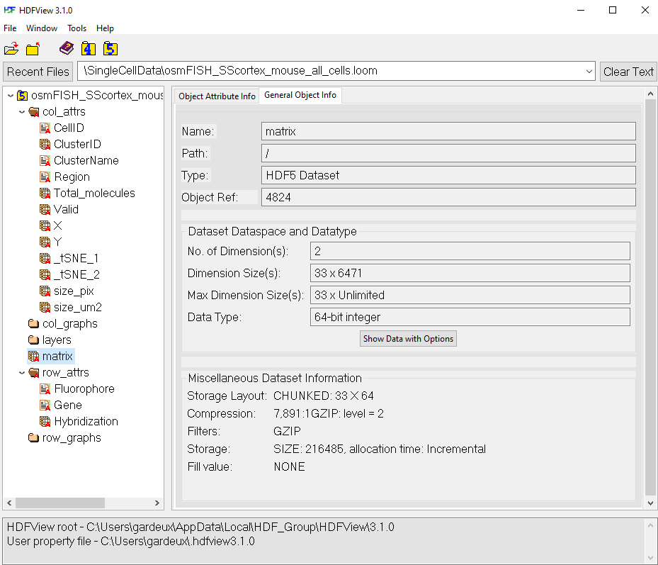 Loom import tutorial screenshot